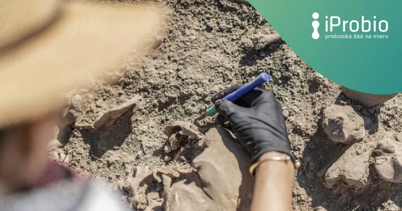 Ancient feces reveal dramatic changes in the human microbiome over the past 2,000 years.