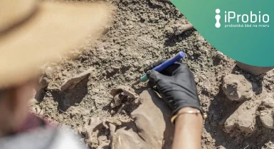 Ancient feces reveal dramatic changes in the human microbiome over the past 2,000 years.