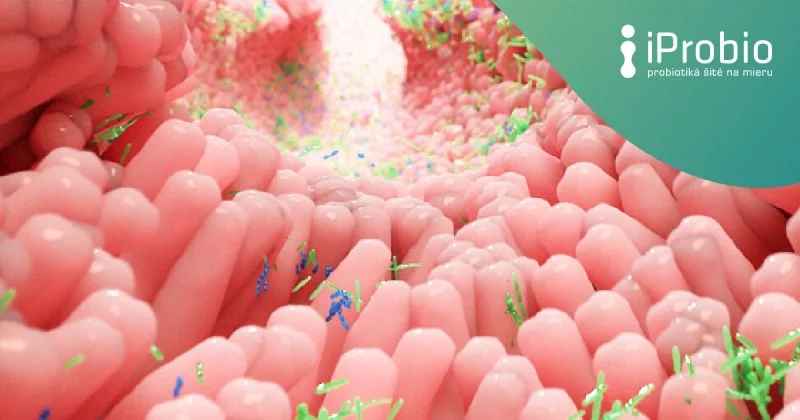 Microbiome School: Inflammation in the Body and the Microbiome