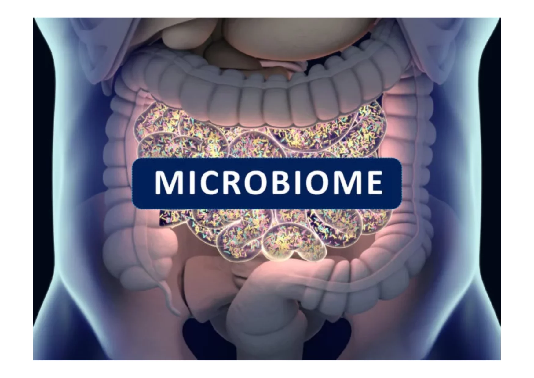 Probiotiká, imunita, mikrobióm