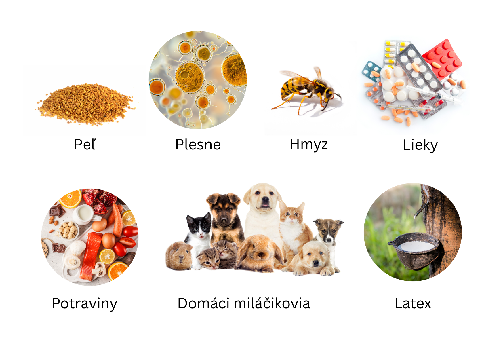 alergia na peľ, plesne, hmyz, lieky, potraviny, domácich miláčikov, latex