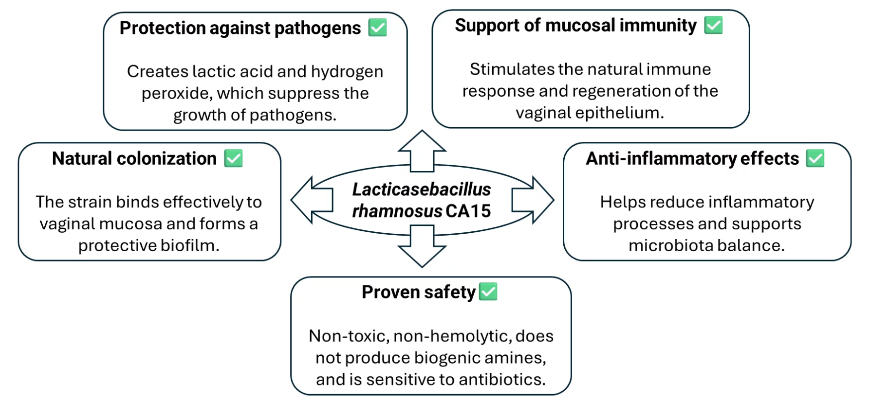 Diagram illustrating the effects of the probiotic strain Lacticaseibacillus rhamnosus CA15 on the vaginal microbiome and women's health.