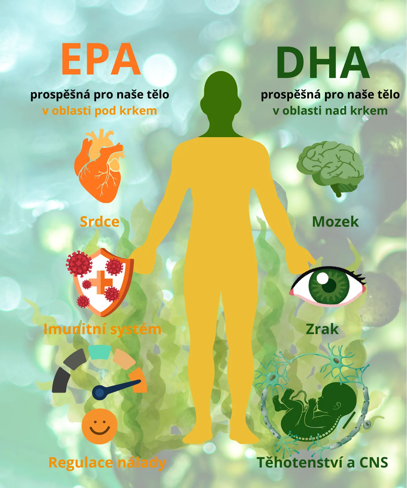vliv-omega-3-na-organismus-iprobio.cz