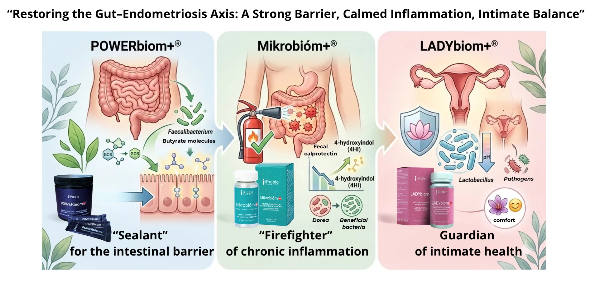 products for the endometriosis study