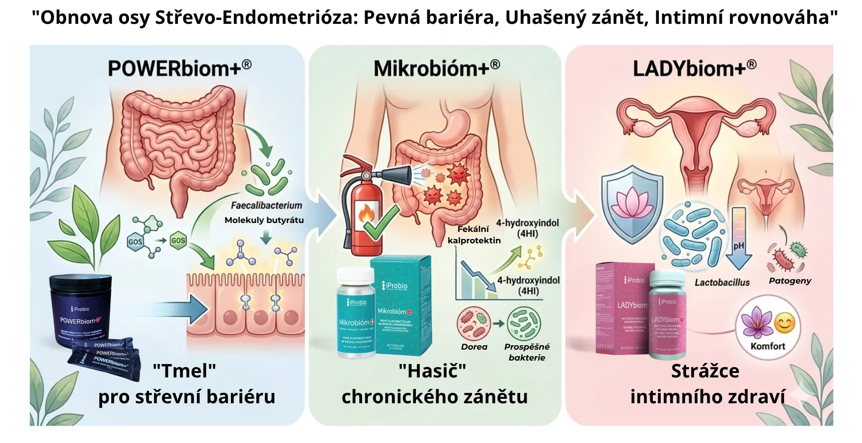 produkty ku štúdií endometriózy